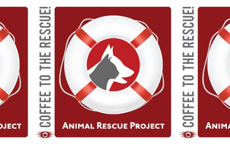 Animal online rescue project