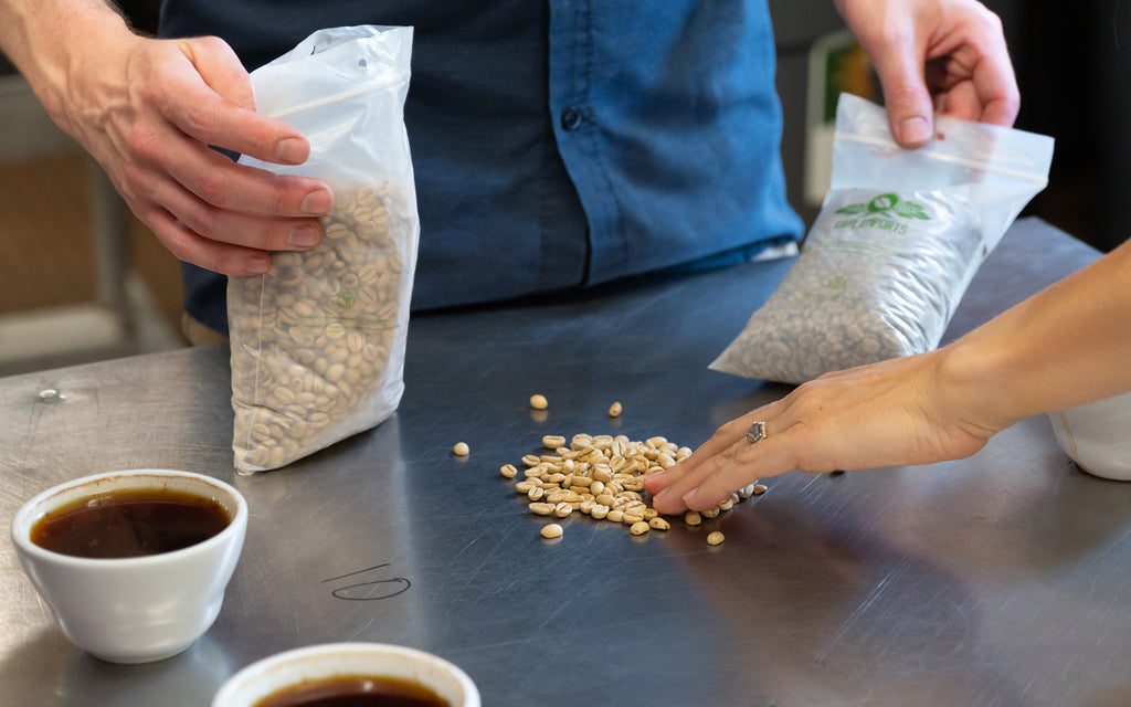 evaluating dried green coffee beans